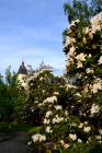 1.ogrod_botaniczny_w_zagwizdziu_0