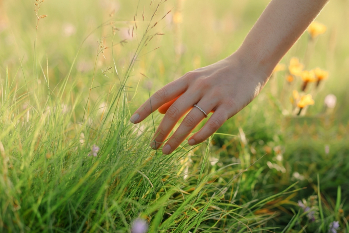 dotyk przyrody, kwiatów, drzewa, owoce leśne na stole
